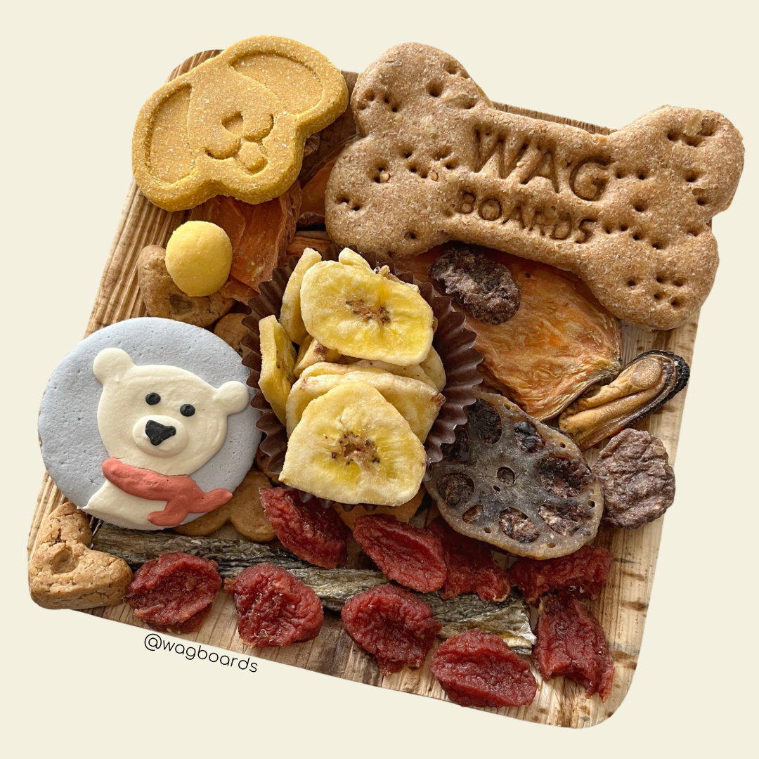 Wagboard SHIPPED (US/Canada)
