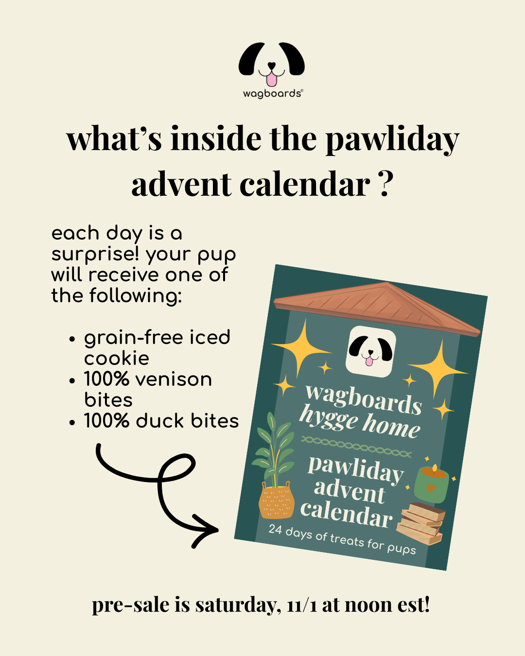 Pawliday Advent Calendar