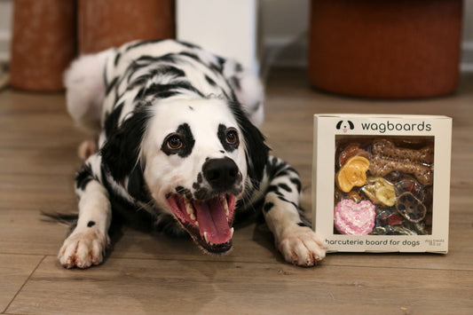 How do you make a dog charcuterie board?