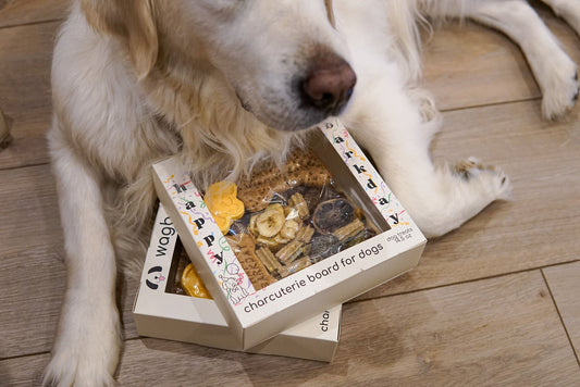 From Wagboards to Bites: Creative Ways to Repurpose Doggy Charcuterie Leftovers