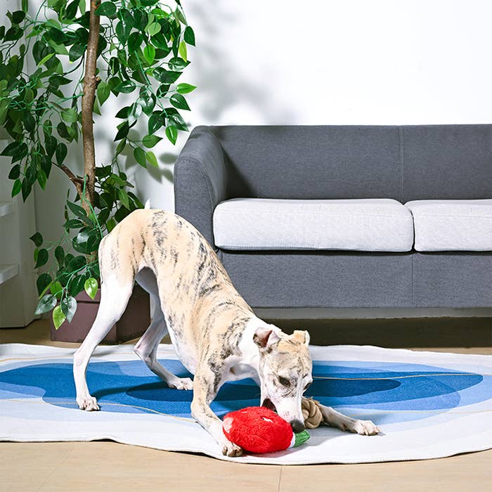 Watermelon Popsicle Plush Dog Toy