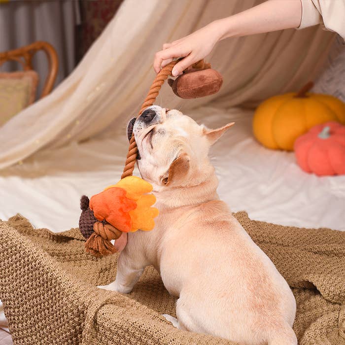 Autumn Acorn - Dog Rope Toy