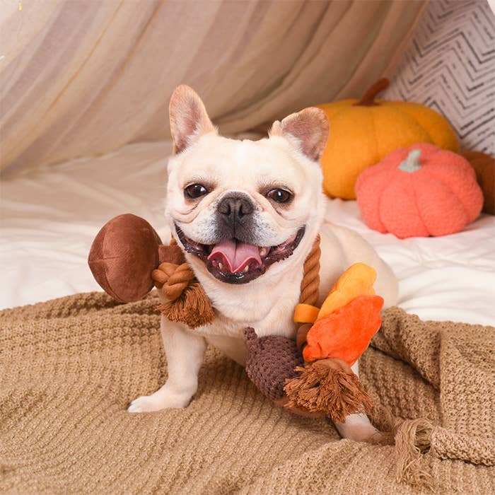 Autumn Acorn - Dog Rope Toy